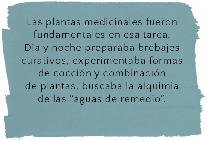 Prepara brebajes curativos buscando la alquimia de las aguas de remedio